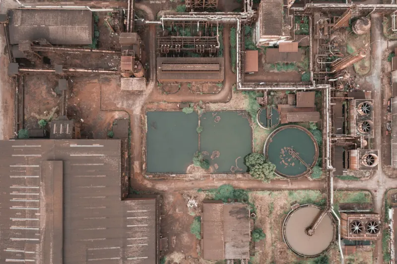 The Wrong Factory Got Fined Into Oblivion — and an Entire Species Got Its Life Back