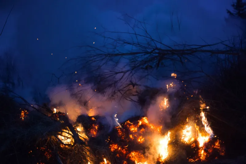 The Fire Nobody Remembers: How America's Deadliest Wildfire Got Buried Under Someone Else's Headline