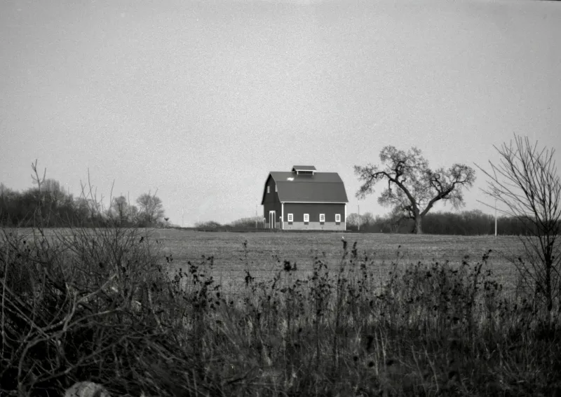 The Mail Mix-Up That Built a City: How the Wrong Address Created an Entire American Town